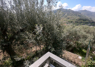 Casa Vacanze Appartamento Gole Alcantara Lanternabianca